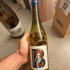 Beaujolais Blanc - Château de Grand Pré - Claude, Romain & Christine Zordan 