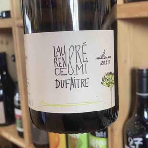 Beaujolais Blanc - Domaine de Botheland - remi-dufaitre-laurence-liatard -2021