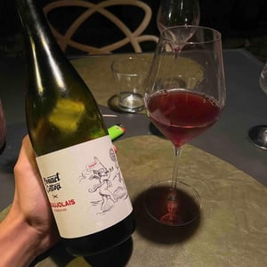 Bonnet-Cotton - Marine Bonnet & Pierre Cotton - Beaujolais