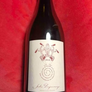 Beaujolais Rouge - Domaine Jules Desjourneys - jules-desjourneys -2020
