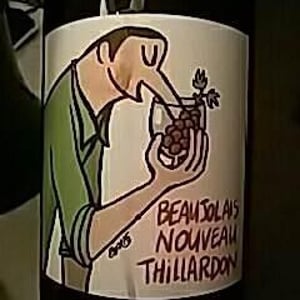 Beaujolais Nouveau - Domaine Thillardon - Aude, Jean-Baptiste, Charles et Paul-Henri Thillardon 