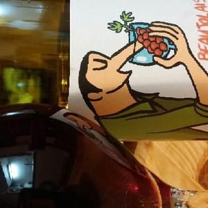 Beaujolais Nouveau - Domaine Thillardon - Aude, Jean-Baptiste, Charles et Paul-Henri Thillardon 
