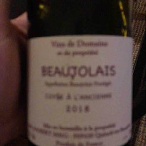 Beaujolais Nouveau - Domaine Marcel Joubert - carine-joubert