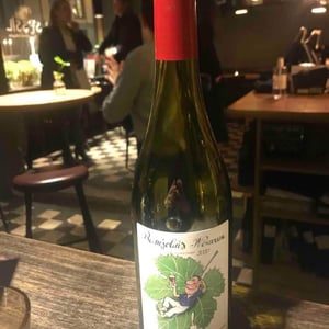 Beaujolais Nouveau - Château Cambon - alexandre-iwasuila-marie-lapierre-jean-claude-chanudet