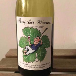 Beaujolais Nouveau - Château Cambon - alexandre-iwasuila-marie-lapierre-jean-claude-chanudet