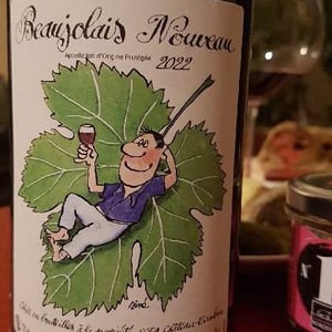 Beaujolais Nouveau - Château Cambon - alexandre-iwasuila-marie-lapierre-jean-claude-chanudet
