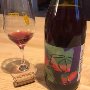 Beaujolais Nouveau - Domaine David-Beaupère - louis-clement-david-beaupere