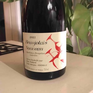Jean Foillard - Jean Foillard - Beaujolais Nouveau