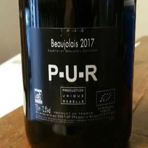 Beaujolais Nouveau - P-U-R (Production Unique Rebelle) - Florian Looze 