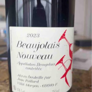 Jean Foillard - Jean Foillard - Beaujolais Nouveau