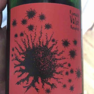 Beaujolais Village Blanc - Les Sauvageons - cosima-and-romuald-valot