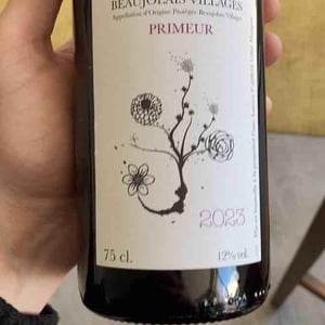 Beaujolais Village Primeur - Domaine Leonis - Cristelle & Raphaël Champier 