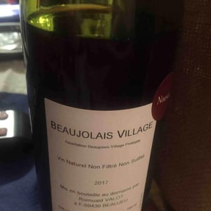 Beaujolais Village - Les Sauvageons - cosima-and-romuald-valot