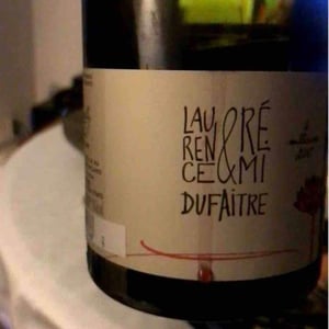 Beaujolais Villages - Domaine de Botheland - Rémi Dufaitre & Laurence Liatard 