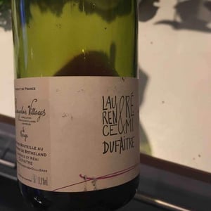 Beaujolais Villages - Domaine de Botheland - remi-dufaitre-laurence-liatard