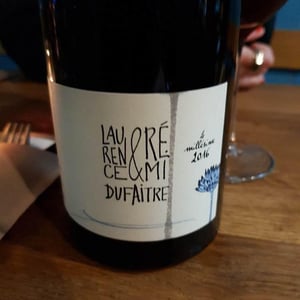 Beaujolais Villages - Domaine de Botheland - Rémi Dufaitre & Laurence Liatard 