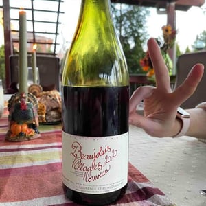 Beaujolais Villages - Domaine de Botheland - Rémi Dufaitre & Laurence Liatard 