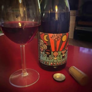 Beaujolais Villages - Domaine de Botheland - Rémi Dufaitre & Laurence Liatard 