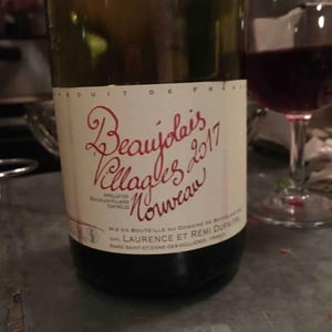 Domaine de Botheland - Rémi Dufaitre & Laurence Liatard - Beaujolais Villages