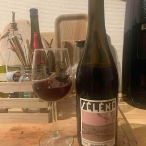 Séléné - Sylvère Trichard - Beaujolais Villages
