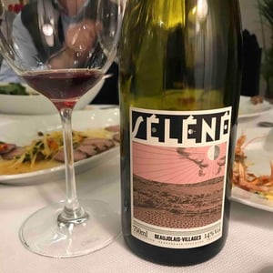 Séléné - Sylvère Trichard - Beaujolais Villages