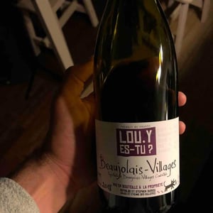 Beaujolais-Villages - Lou. Y Es-Tu? - Mathilde & Stephen Durieu 