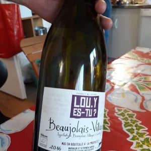 Lou. Y Es-Tu? - Mathilde & Stephen Durieu - Beaujolais-Villages