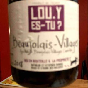 Lou. Y Es-Tu? - Mathilde & Stephen Durieu - Beaujolais-Villages