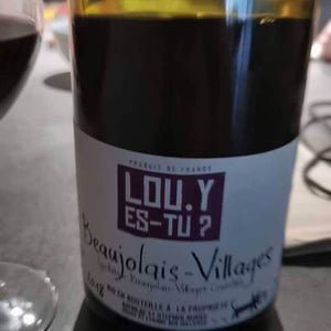 Lou. Y Es Tu ? - Lou. Y Es-Tu? - Mathilde & Stephen Durieu