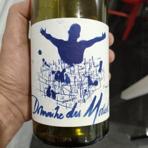 Beaujolais-villages - Domaine Des Moriers - domaine-des-moriers