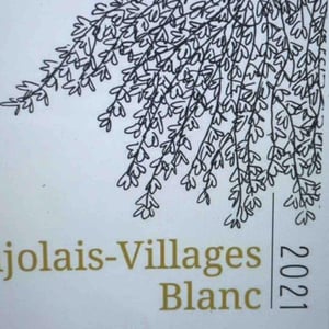 Beaujolais Villages Blanc - Domaine Lachat - Anne Lekkerkerker 