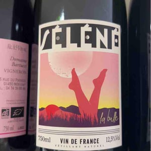 La bulle - Séléné - Sylvère Trichard -2022