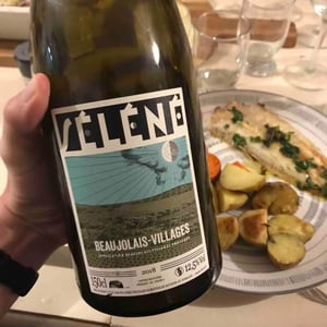 Séléné - Sylvère Trichard - Beaujolais Villages Blanc