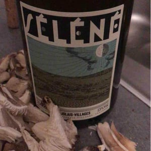 Séléné - Sylvère Trichard - Beaujolais Villages Blanc