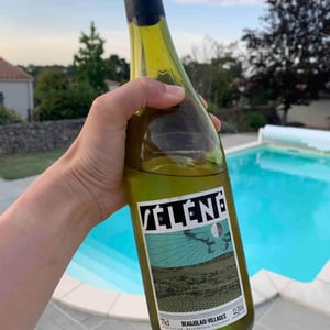 Séléné - Sylvère Trichard - Beaujolais Villages Blanc