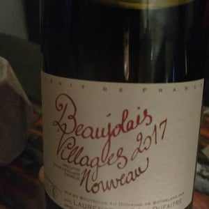 Domaine de Botheland - Rémi Dufaitre & Laurence Liatard - Beaujolais Villages Nouveau