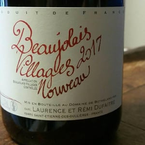 Beaujolais Villages Nouveau - Domaine de Botheland - remi-dufaitre-laurence-liatard