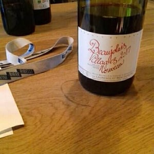 Domaine de Botheland - Rémi Dufaitre & Laurence Liatard - Beaujolais Villages Nouveau