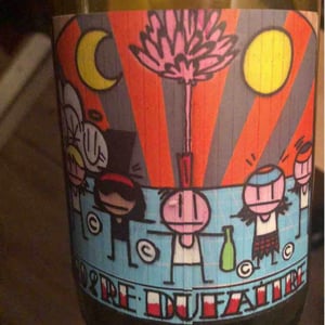 Domaine de Botheland - Rémi Dufaitre & Laurence Liatard - Beaujolais Villages Nouveau