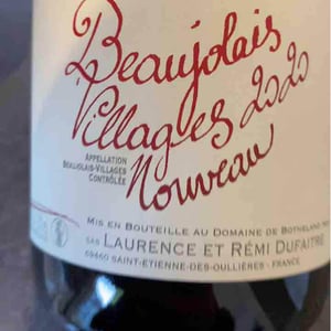 Domaine de Botheland - Rémi Dufaitre & Laurence Liatard - Beaujolais Villages Nouveau