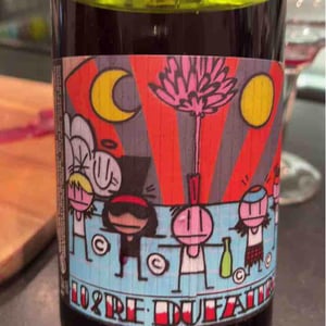 Domaine de Botheland - Rémi Dufaitre & Laurence Liatard - Beaujolais Villages Nouveau