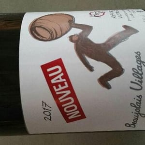 Beaujolais Villages Nouveau - Karim Vionnet - karim-vionnet