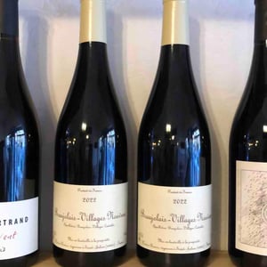 Beaujolais-Villages Nouveau - Xavier Bénier - xavier-benier