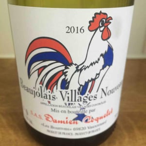 Beaujolais Villages Nouveau - Damien Coquelet - damien-coquelet