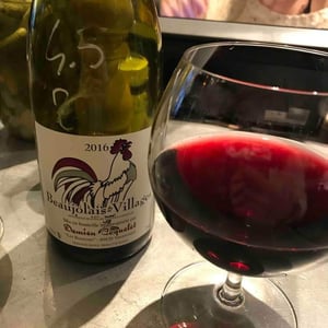 Beaujolais Villages Nouveau - Damien Coquelet - damien-coquelet