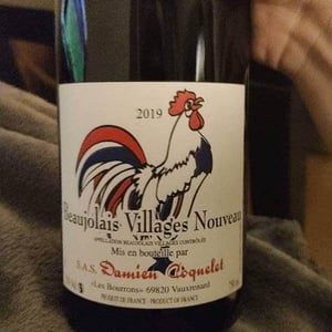 Beaujolais Villages Nouveau - Damien Coquelet - damien-coquelet