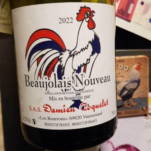 Beaujolais Villages Nouveau - Damien Coquelet - damien-coquelet