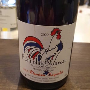 Beaujolais Villages Nouveau - Damien Coquelet - Damien Coquelet 