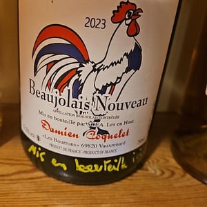 Beaujolais Villages Nouveau - Damien Coquelet - Damien Coquelet 