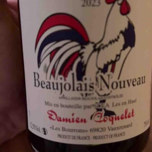 Beaujolais Villages Nouveau - Damien Coquelet - damien-coquelet